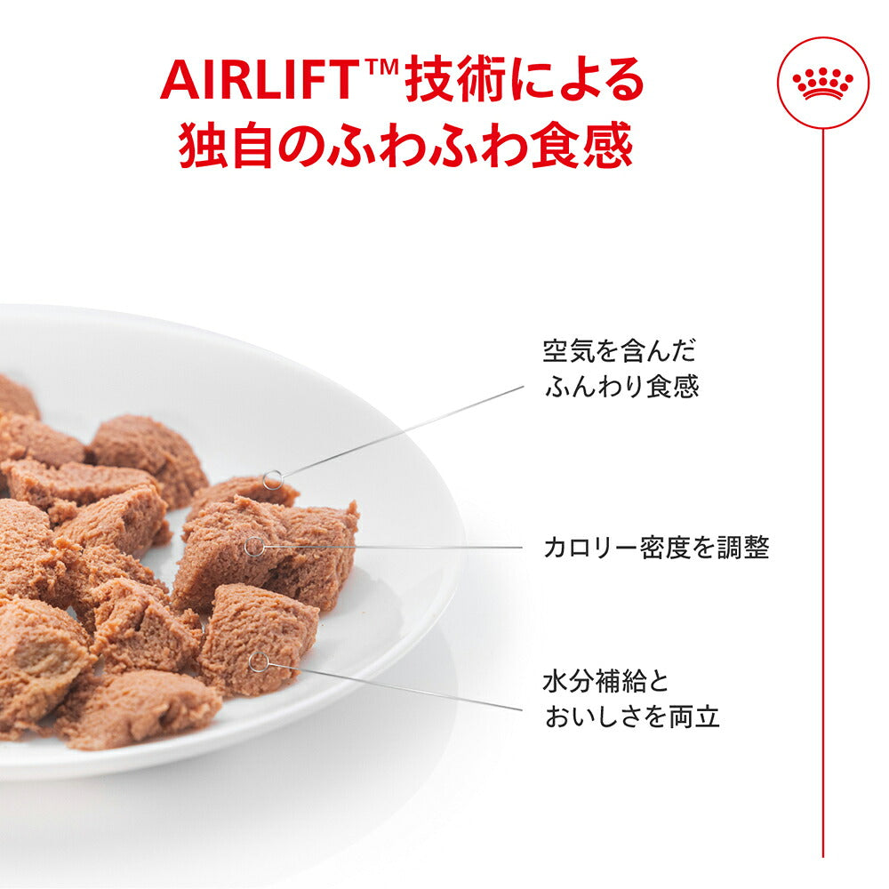ロイヤルカナン FCN-WET ライトウェイトケア ウルトラ ソフト ムース 減量したい成猫用 生後12ヵ月齢以上 缶 85g×3 (猫・キャット)[正規品]