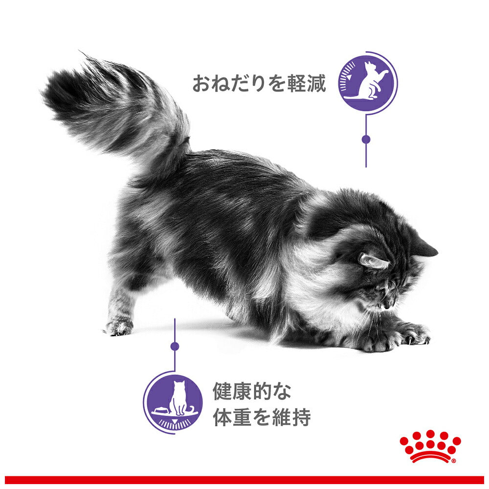 【85g×12袋】ロイヤルカナン FCN-WET アペタイト コントロール グレービー おねだりの多い成猫用 生後12ヵ月齢以上 パウチ (猫・キャット)[正規品]