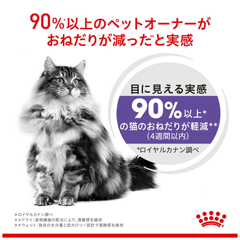 【85g×48袋】ロイヤルカナン FCN-WET アペタイト コントロール グレービー おねだりの多い成猫用 生後12ヵ月齢以上 パウチ (猫・キャット)[正規品]