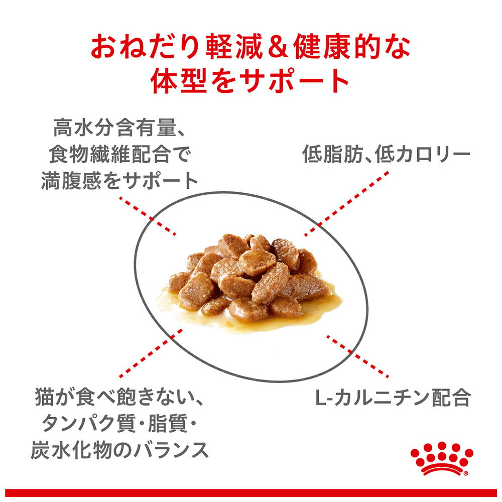 【メール便】【85g×6袋】ロイヤルカナン FCN-WET アペタイト コントロール グレービー おねだりの多い成猫用 生後12ヵ月齢以上 パウチ (猫・キャット)[正規品]