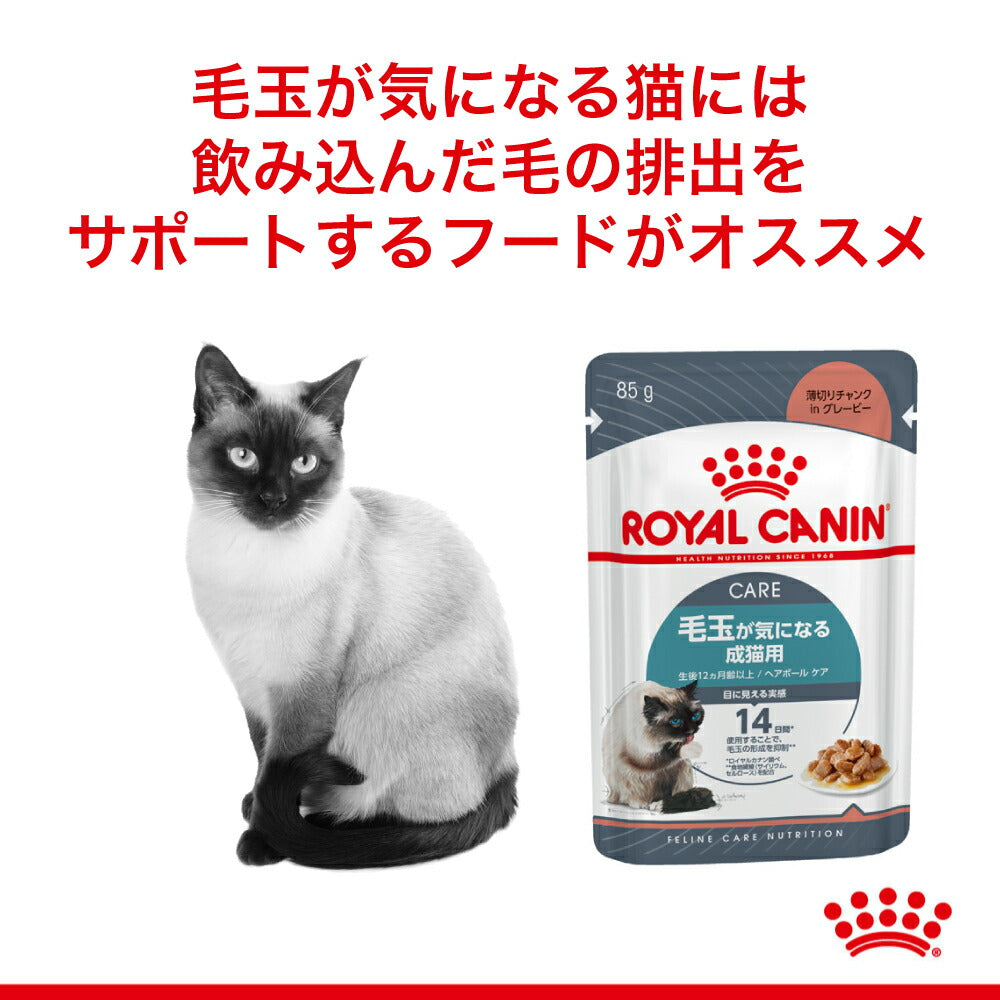 【85g×48袋】ロイヤルカナン FCN-WET ヘアボール ケア グレービー 毛玉が気になる成猫用 生後12ヵ月齢以上 パウチ (猫・キャット)[正規品]