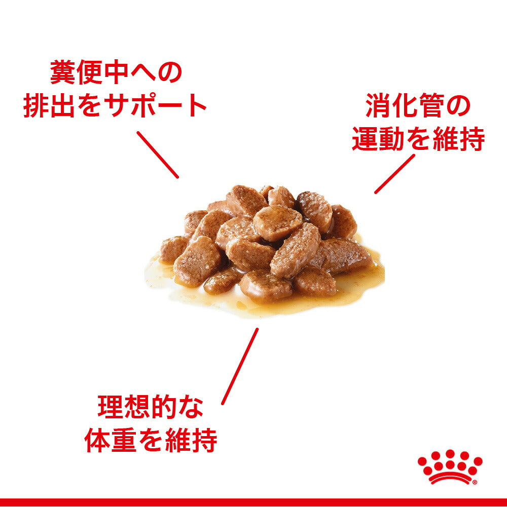 【メール便】【85g×6袋】ロイヤルカナン FCN-WET ヘアボール ケア グレービー 毛玉が気になる成猫用 生後12ヵ月齢以上 パウチ (猫・キャット)[正規品]