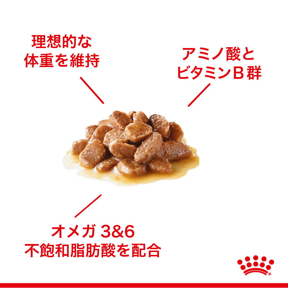 【メール便】【85g×6袋】ロイヤルカナン FCN-WET ヘアー&スキン ケア 皮膚・被毛の健康を維持したい成猫用 生後12ヵ月齢以上 パウチ(猫・キャット)[正規品]