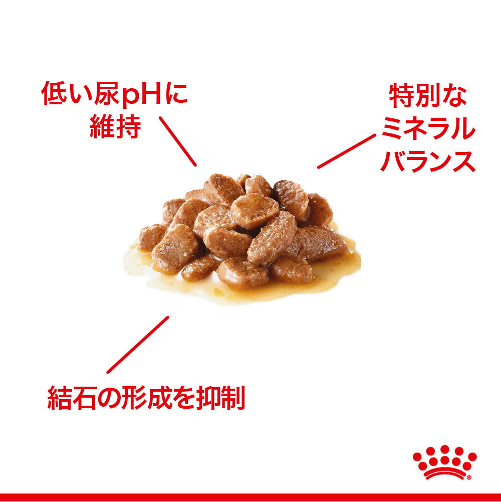 【85g×48袋】ロイヤルカナン FCN-WET ユリナリー ケア グレービー 健康な尿を維持したい成猫用 生後12ヵ月齢以上 パウチ (猫・キャット)[正規品]