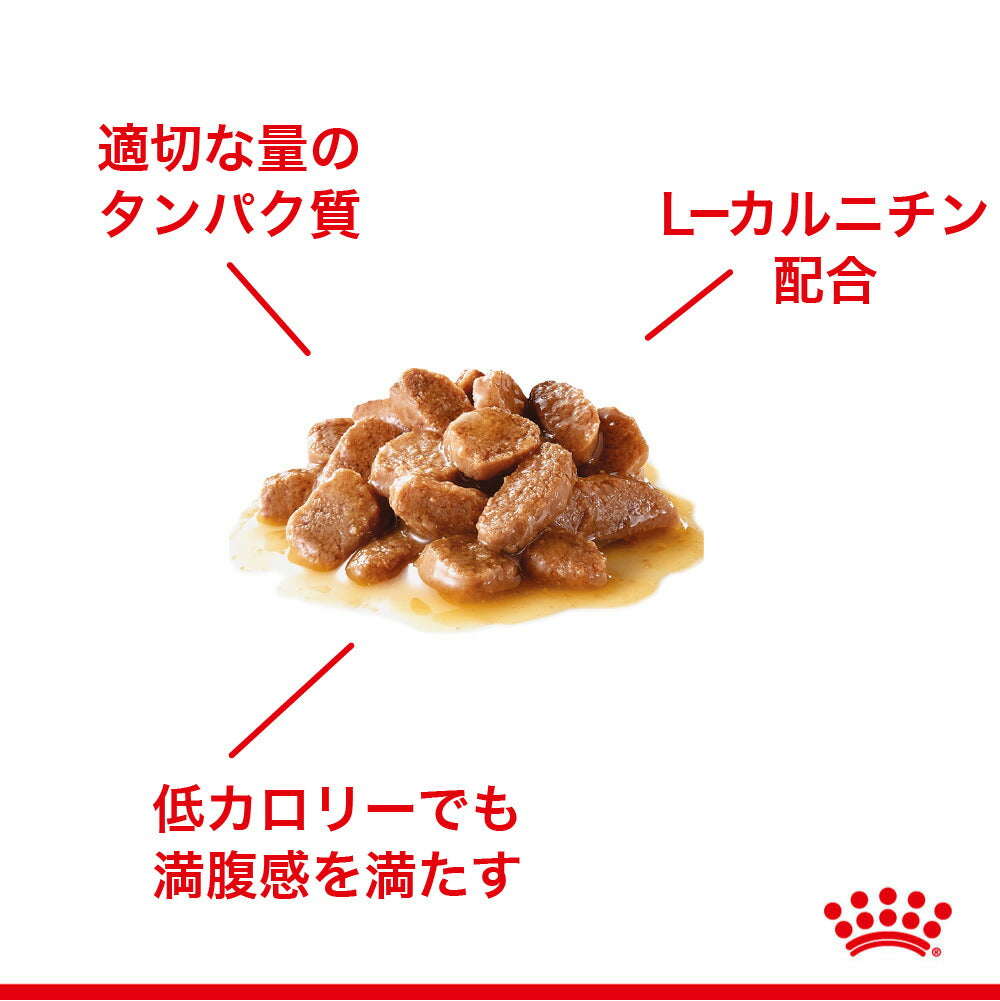 【85g×48袋】ロイヤルカナン FCN-WET ライト ウェイト ケア グレービー 減量したい成猫用 生後12ヵ月齢以上 パウチ (猫・キャット)[正規品]