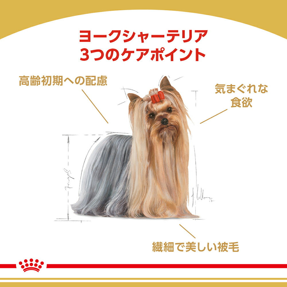 【800g×5袋】ロイヤルカナン BHN ヨークシャーテリア 成犬～高齢犬用 生後10ヵ月齢以上 (犬・ドッグ)[正規品]