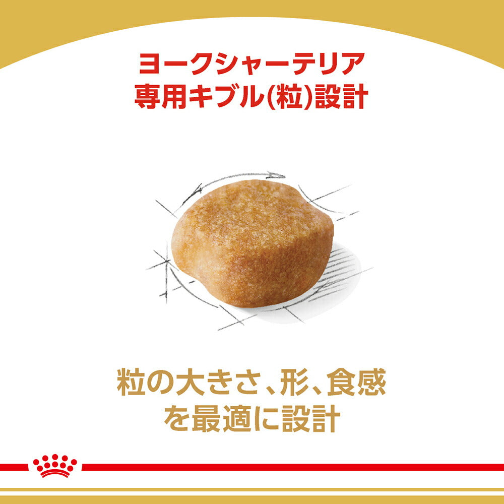 【800g×5袋】ロイヤルカナン BHN ヨークシャーテリア 成犬～高齢犬用 生後10ヵ月齢以上 (犬・ドッグ)[正規品]