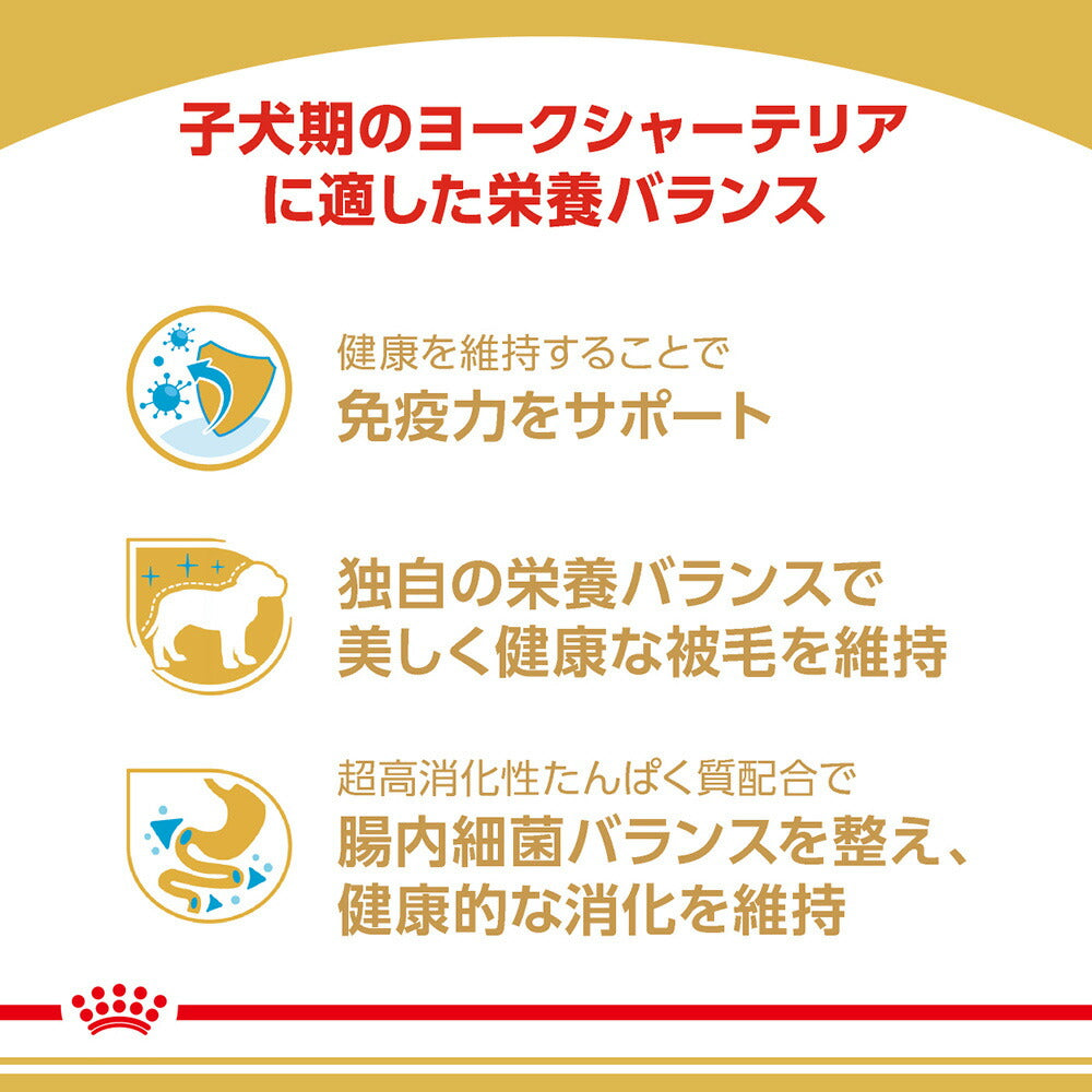 [賞味期限2026/8/3]ロイヤルカナン ヨークシャーテリア 子犬用 500g (犬・ドッグ) [正規品]