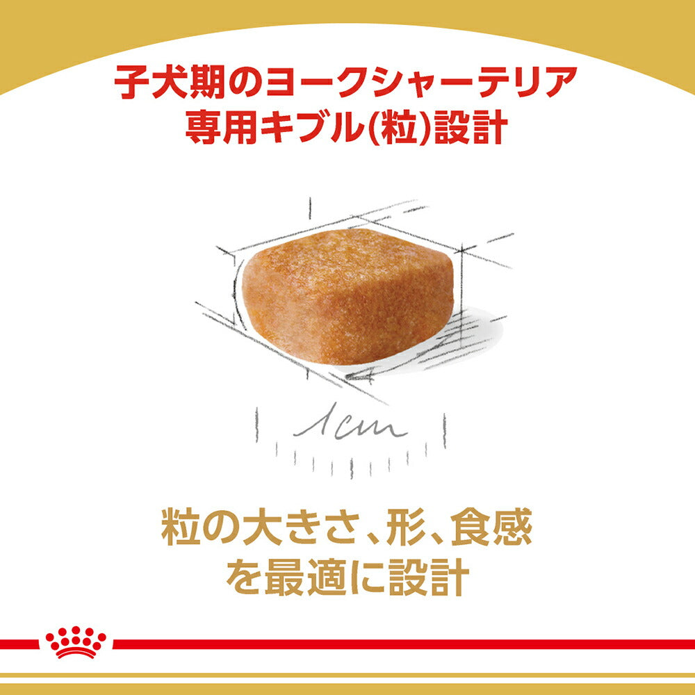 [賞味期限2026/8/3]ロイヤルカナン ヨークシャーテリア 子犬用 500g (犬・ドッグ) [正規品]