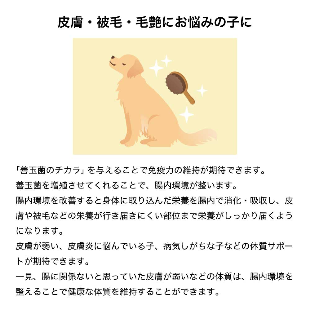 セレクトバランス サプリメント 善玉菌のチカラ 猫用 顆粒 腸活 300g (猫・キャット)