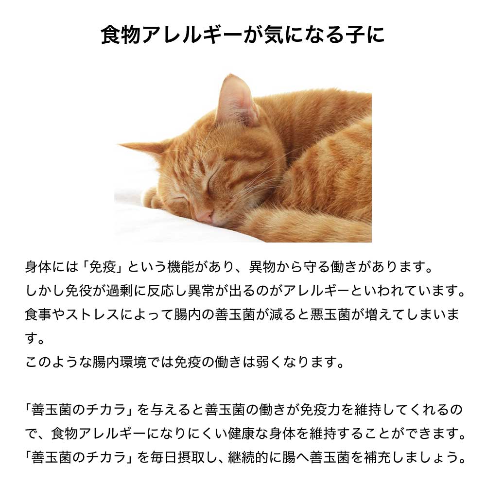 セレクトバランス サプリメント 善玉菌のチカラ 猫用 顆粒 腸活 300g (猫・キャット)