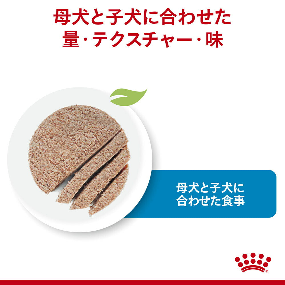 【195g×12缶】ロイヤルカナン SHN-WET スターター ムース マザー&ベビードッグ 成長前期の子犬用 生後2ヵ月齢まで 母犬用 缶 (犬・ドッグ)[正規品]