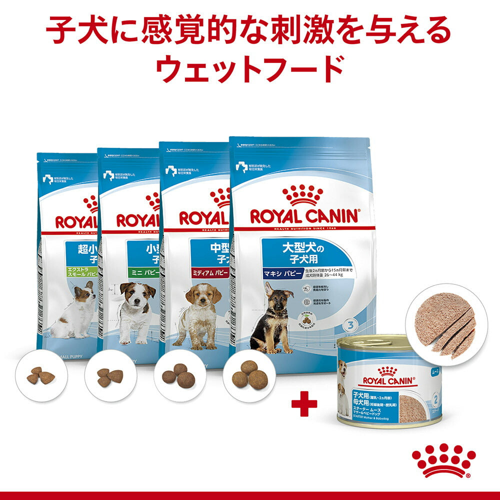 【195g×3缶×6個】ロイヤルカナン SHN-WET スターター ムース マザー&ベビードッグ 成長前期の子犬用 生後2ヵ月齢まで 母犬用 缶 (犬・ドッグ)[正規品]