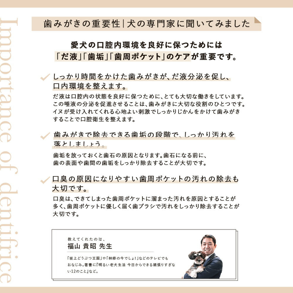 【メール便】たかくら新産業 made of Organics 超やわらか歯ブラシ Ultra soft M 全犬種用 (犬・ドッグ)[M便 1/6]