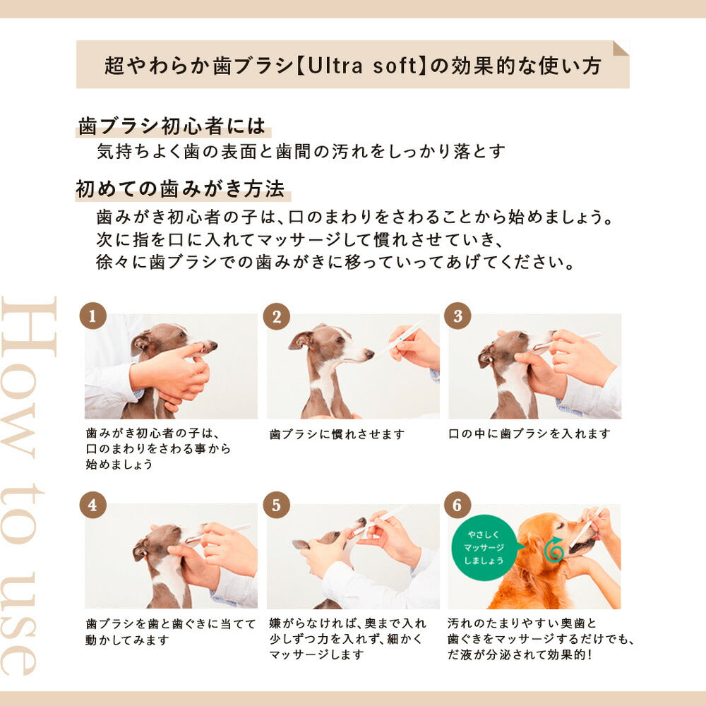 【メール便】たかくら新産業 made of Organics 超やわらか歯ブラシ Ultra soft M 全犬種用 (犬・ドッグ)[M便 1/6]