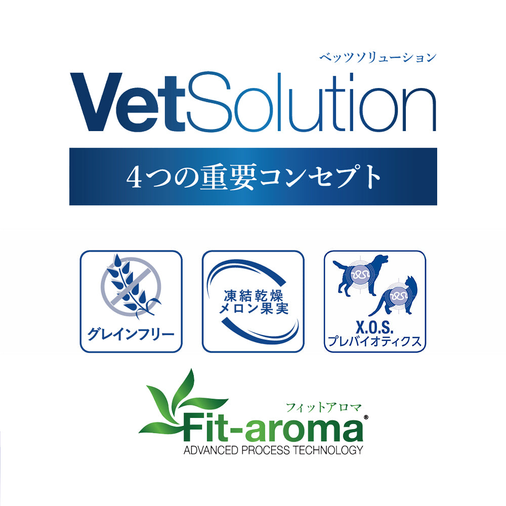 [賞味期限2026/4/2]MONGE VetSolution ベッツソリューション 尿中ストルバイトサポート 療法食 400g (猫・キャット)[正規品]
