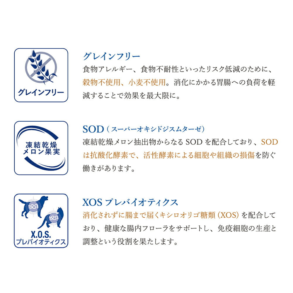 MONGE VetSolution ベッツソリューション 心臓サポート 療法食 800g