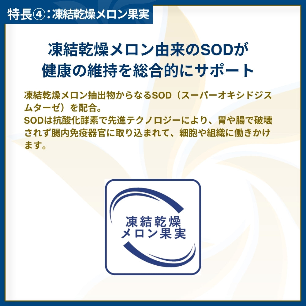 MONGE VetSolution ベッツソリューション 胃腸サポート 子犬用 療法食 3kg (犬・ドッグ)[正規品]