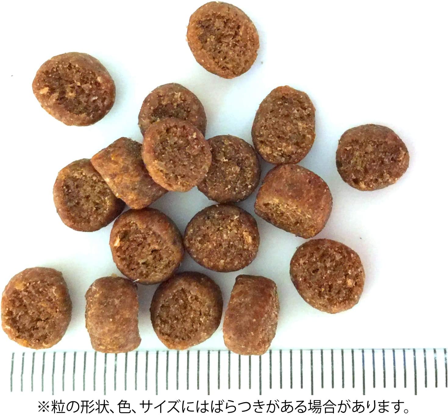 ウェルネス コア 成猫用 1歳以上 骨抜き七面鳥 800g (猫・キャット)[正規品]