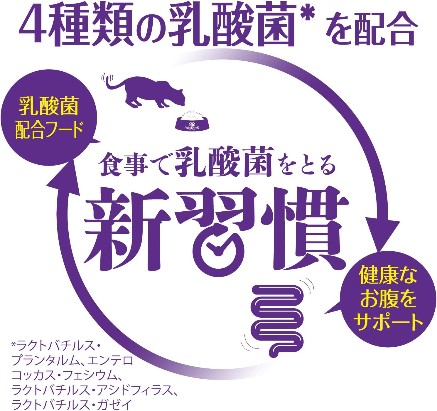 ウェルネス コア 成猫用 1歳以上 体重管理 サーモン 800g (猫・キャット)[正規品]