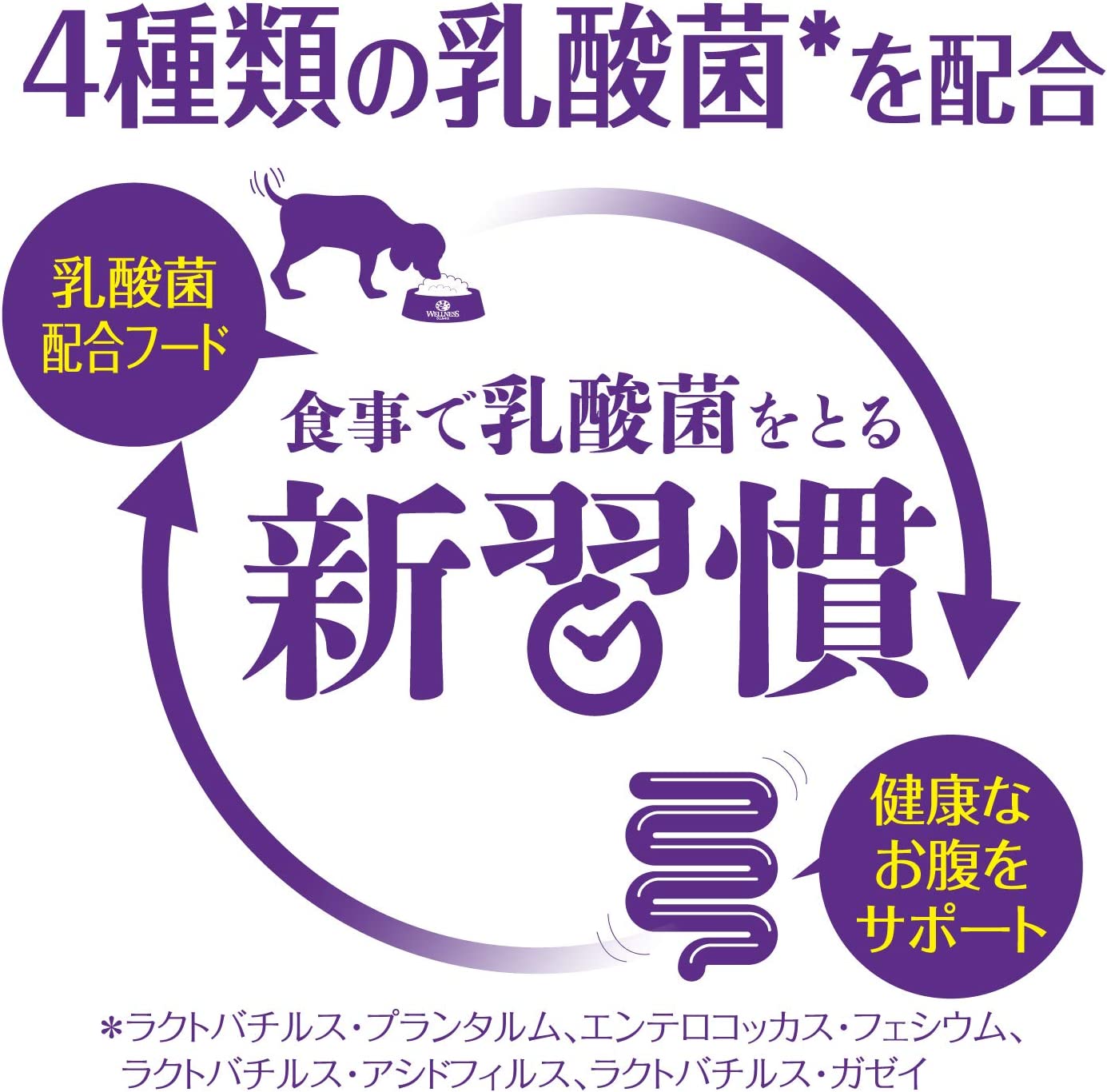 ウェルネス コア 高齢犬用 7歳以上 骨抜き七面鳥 800g (犬・ドッグ)[正規品]