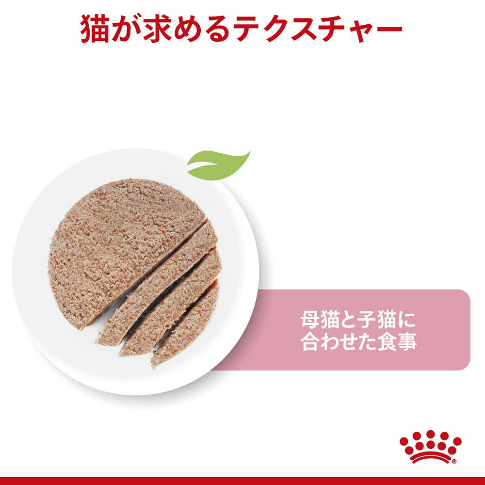 子猫成長前期【はじめてセット】ロイヤルカナン FHN マザー&ベビーキャット 子猫用 母猫用 ドライ 2kg×1 + ウェット 100g×12 (猫・キャット)[正規品]