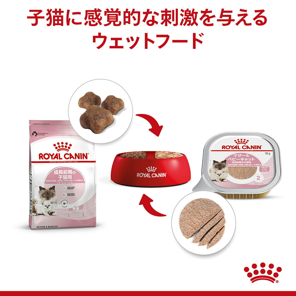 子猫成長前期【はじめてセット】ロイヤルカナン FHN マザー&ベビーキャット 子猫用 母猫用 ドライ 2kg×1 + ウェット 100g×12 (猫・キャット)[正規品]