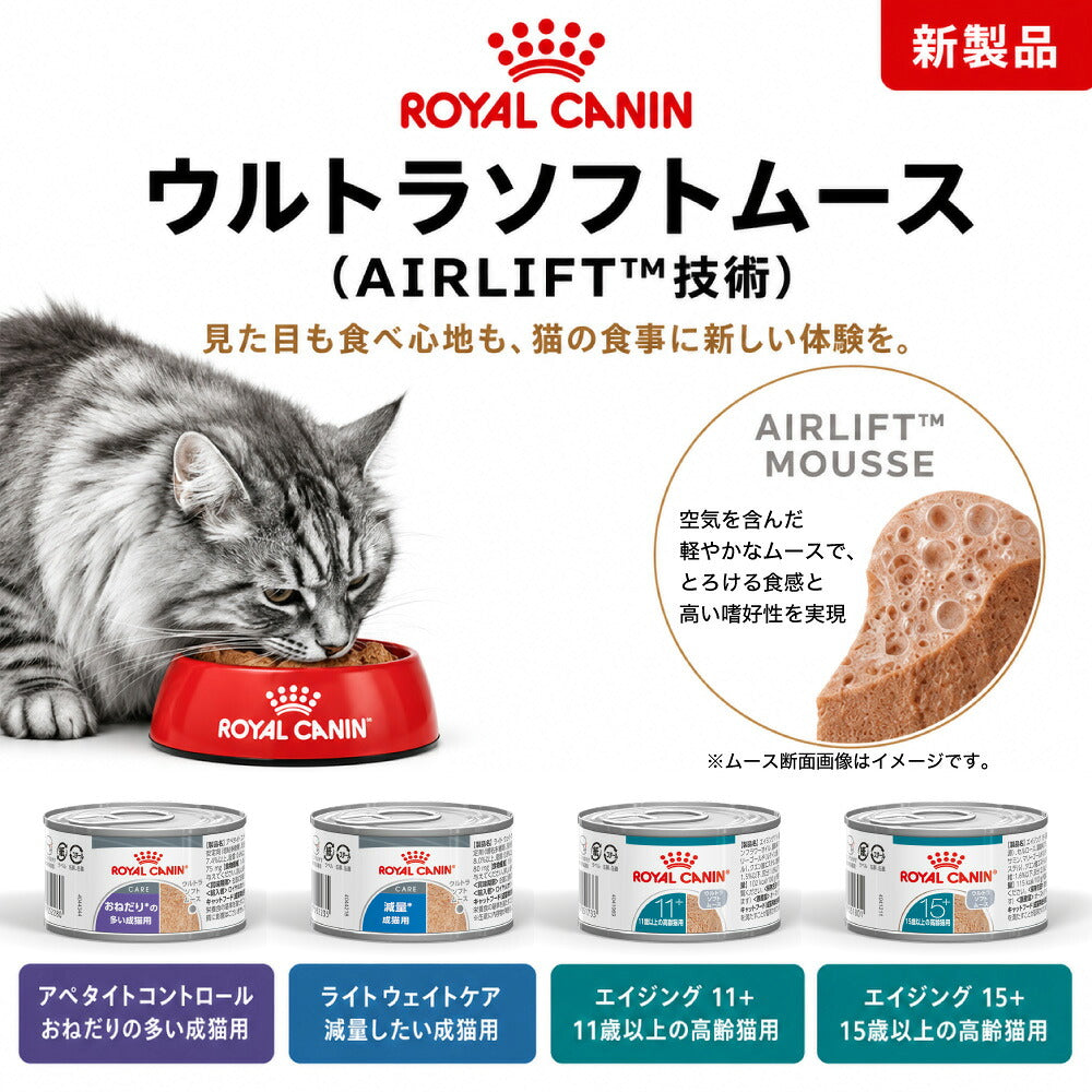 ロイヤルカナン FCN-WET ライトウェイトケア ウルトラ ソフト ムース 減量したい成猫用 生後12ヵ月齢以上 缶 85g×3 (猫・キャット)[正規品]