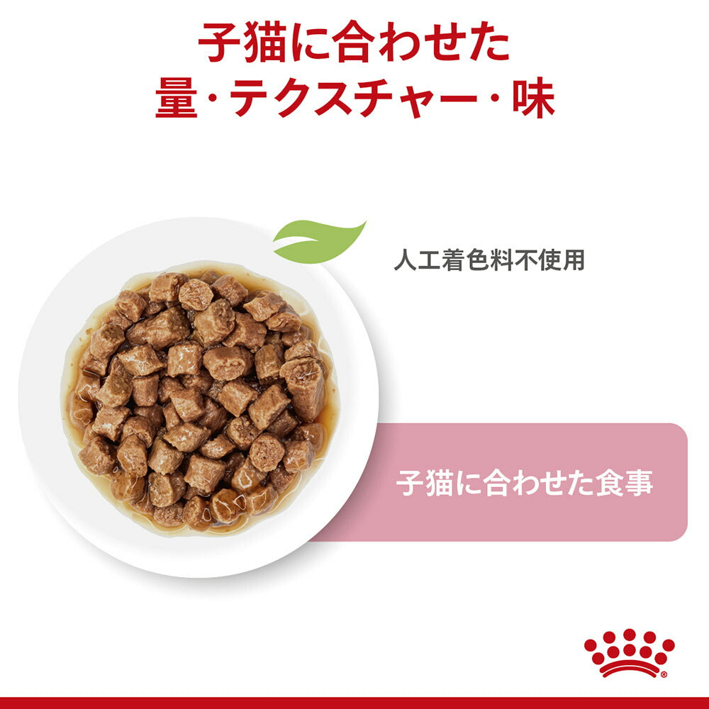 【85g×12袋】ロイヤルカナン FHN-WET キトン グレービー 成長後期の子猫用 生後12ヵ月齢まで パウチ (猫・キャット)[正規品]