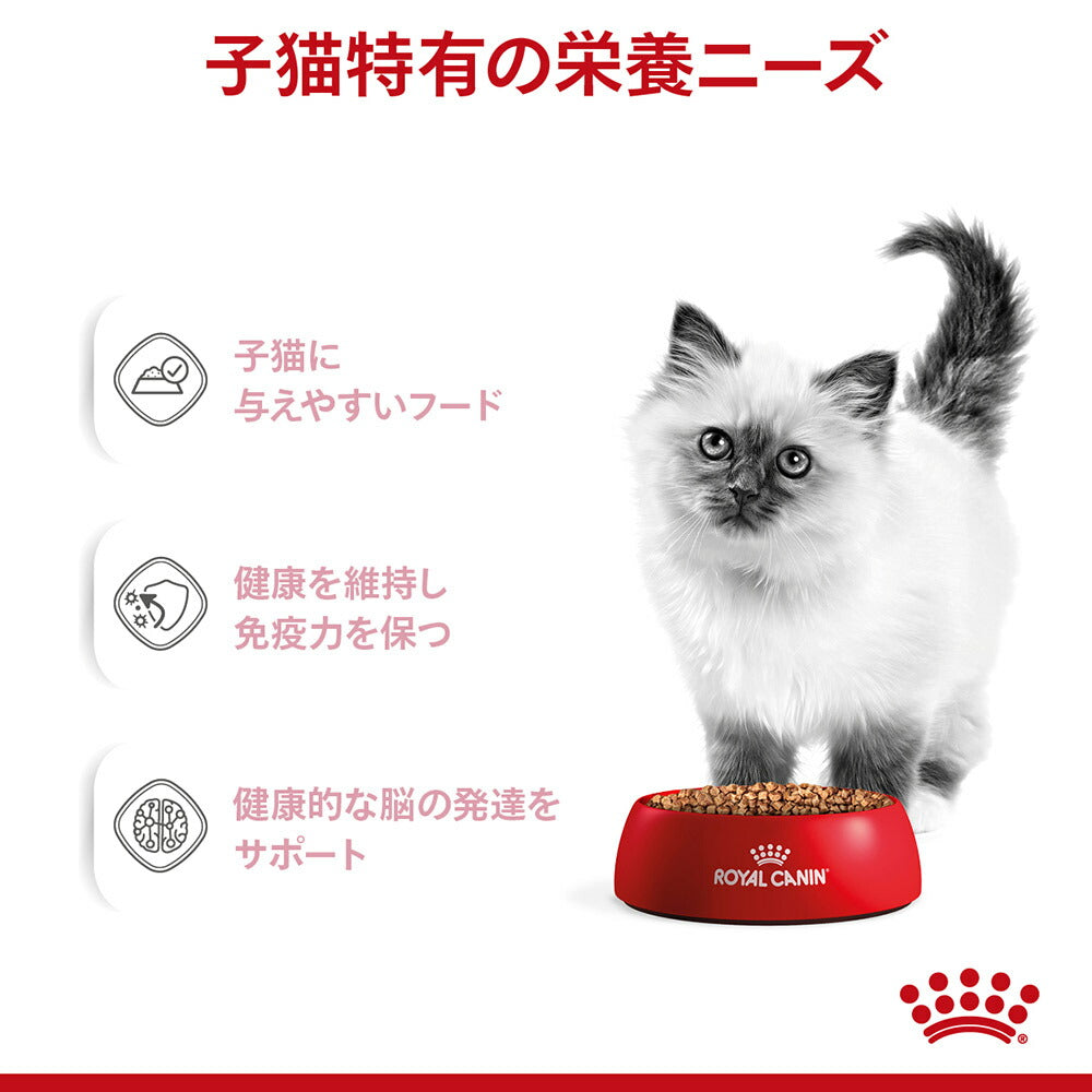 【50g×72袋】ロイヤルカナン FHN-WET キトン グレービー 成長後期の子猫用 生後12ヵ月齢まで 使い切りサイズ パウチ (猫・キャット)[正規品]