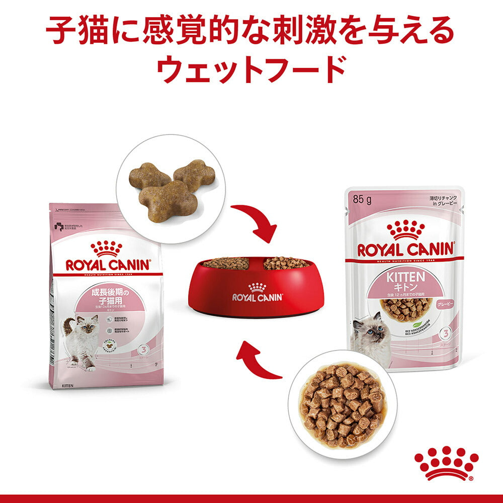 【メール便】【85g×6袋】ロイヤルカナン FHN-WET キトン グレービー 成長後期の子猫用 生後12ヵ月齢まで パウチ (猫・キャット)[正規品]