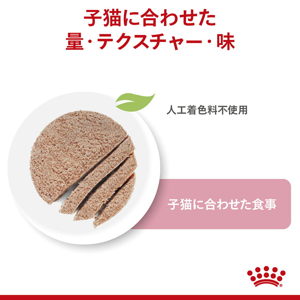 【85g×48袋】ロイヤルカナン FHN-WET キトン ローフ 成長後期の子猫用 生後12ヵ月齢まで パウチ (猫・キャット)[正規品]