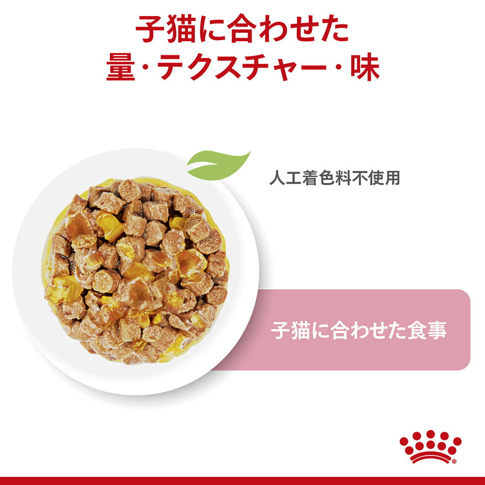 子猫成長後期【はじめてセット】ロイヤルカナン FHN キトン 子猫用 ドライ 400g×1 + ウェット ゼリー85g×12 (猫・キャット)[正規品]