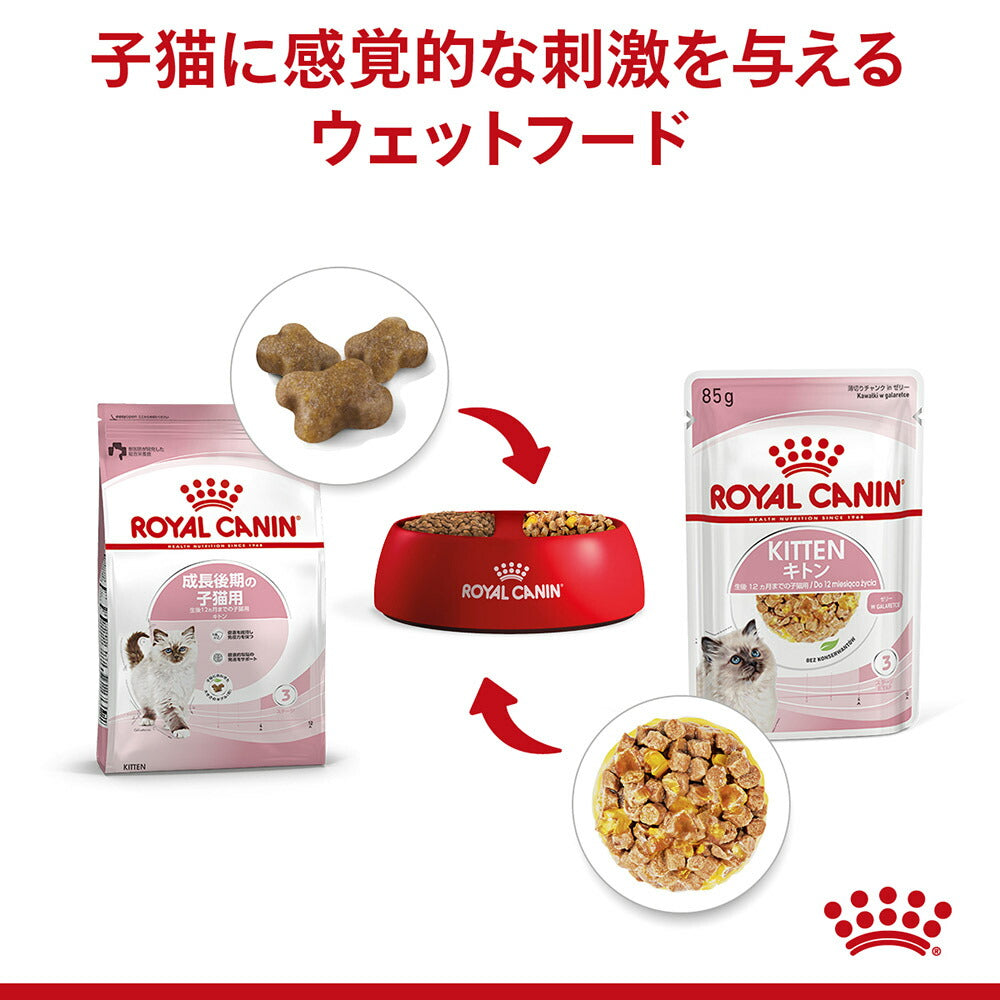 子猫成長後期【はじめてセット】ロイヤルカナン FHN キトン 子猫用 ドライ 400g×1 + ウェット ゼリー85g×12 (猫・キャット)[正規品]