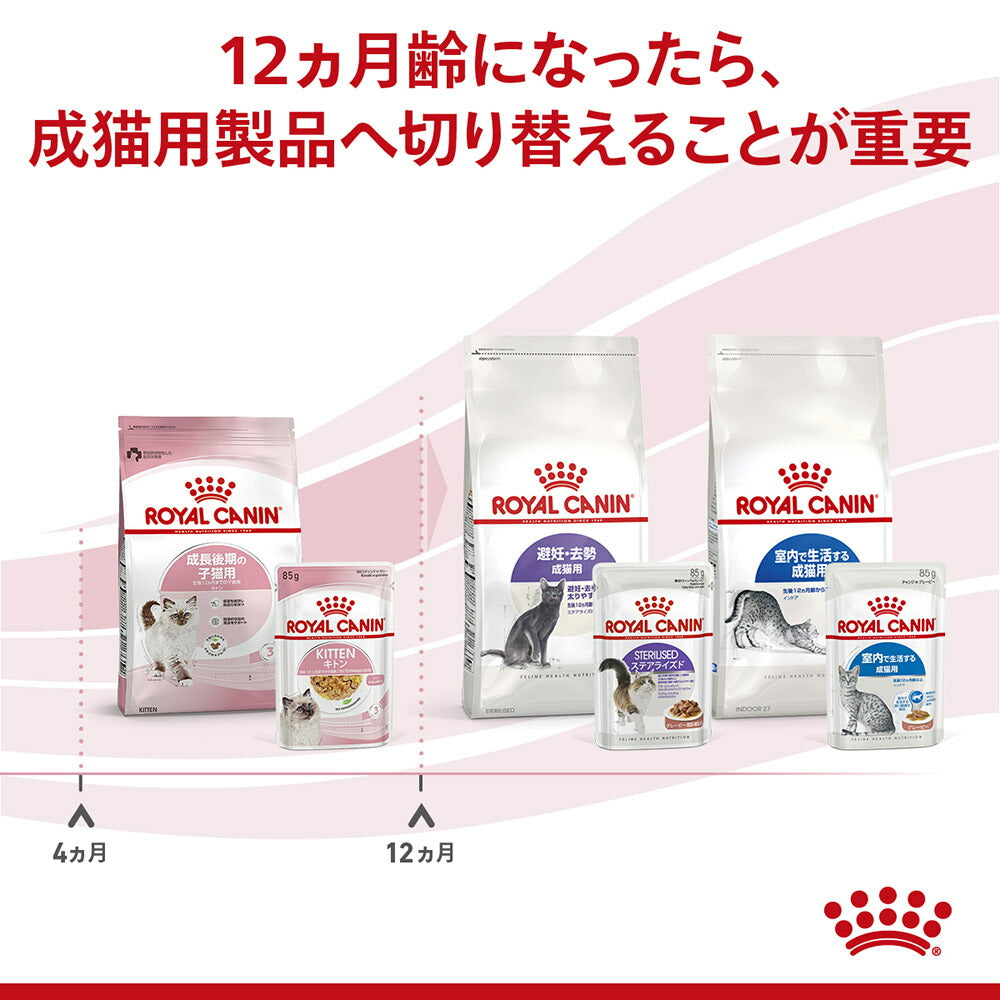 子猫成長後期【はじめてセット】ロイヤルカナン FHN キトン 子猫用 ドライ 400g×1 + ウェット ゼリー85g×12 (猫・キャット)[正規品]