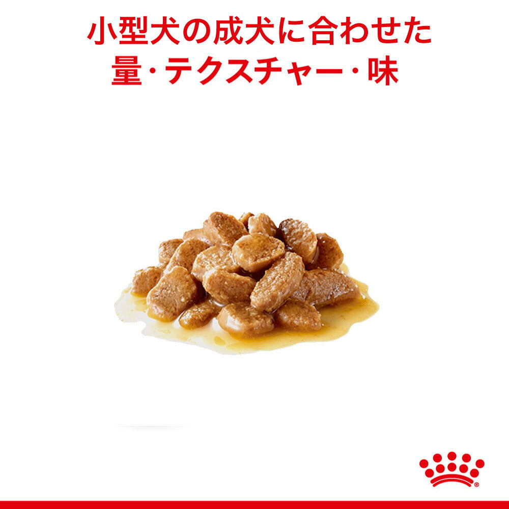 【85g×12袋】ロイヤルカナン SHN-WET ミニアダルト 小型犬 成犬用 生後10ヵ月齢以上 パウチ (犬・ドッグ)[正規品]