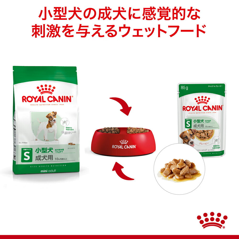 【メール便】【85g×6袋】ロイヤルカナン SHN-WET ミニエイジング 12+ 小型犬 高齢犬用 12歳以上 パウチ (犬・ドッグ)[正規品]