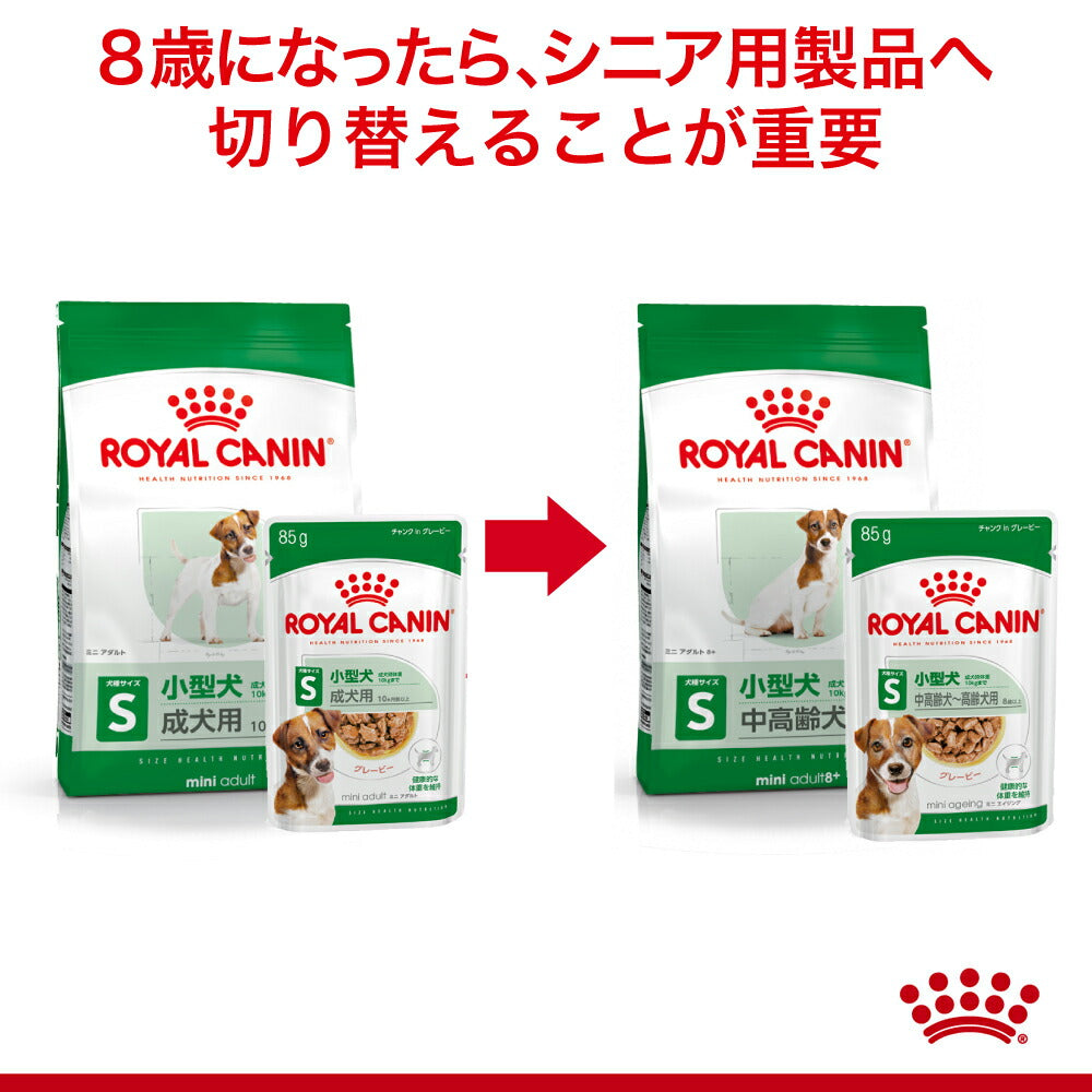 【メール便】【85g×6袋】ロイヤルカナン SHN-WET ミニアダルト 小型犬 成犬用 生後10ヵ月齢以上 パウチ (犬・ドッグ)[正規品]
