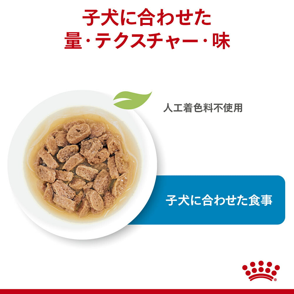 【ガイドブック付】子犬成長後期【はじめてセット】ロイヤルカナン SHN エクストラ スモール パピー ドライ 1.5kg×1 + ウェット 85g×12 (犬・ドッグ)[正規品]