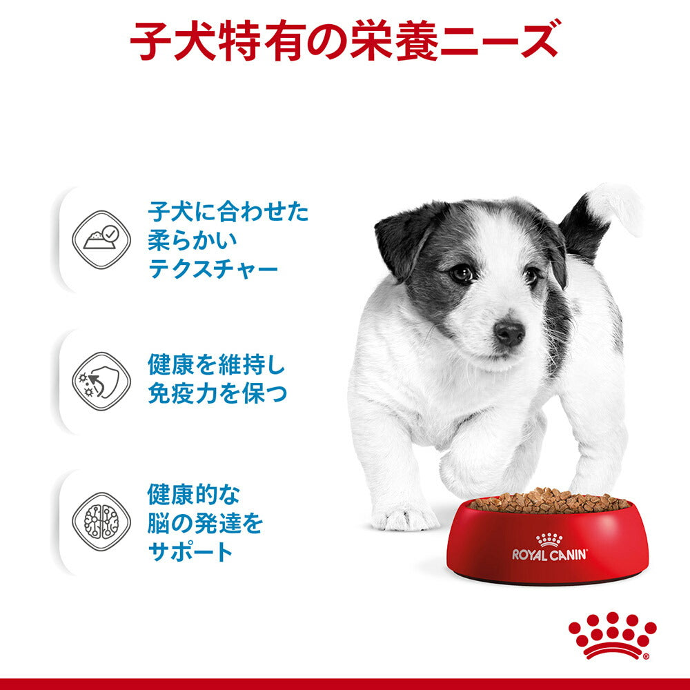 【ガイドブック付】子犬成長後期【はじめてセット】ロイヤルカナン SHN ミニ インドア パピー ドライ 2kg×1 + ウェット 85g×12 (犬・ドッグ)[正規品]