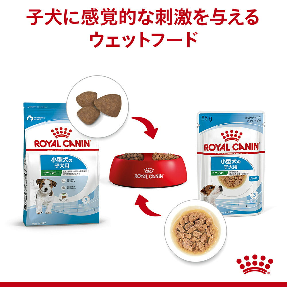 【メール便】【85g×6袋】ロイヤルカナン SHN-WET ミニパピー 小型犬 成長後期の子犬用 生後10ヵ月齢まで パウチ (犬・ドッグ)[正規品]