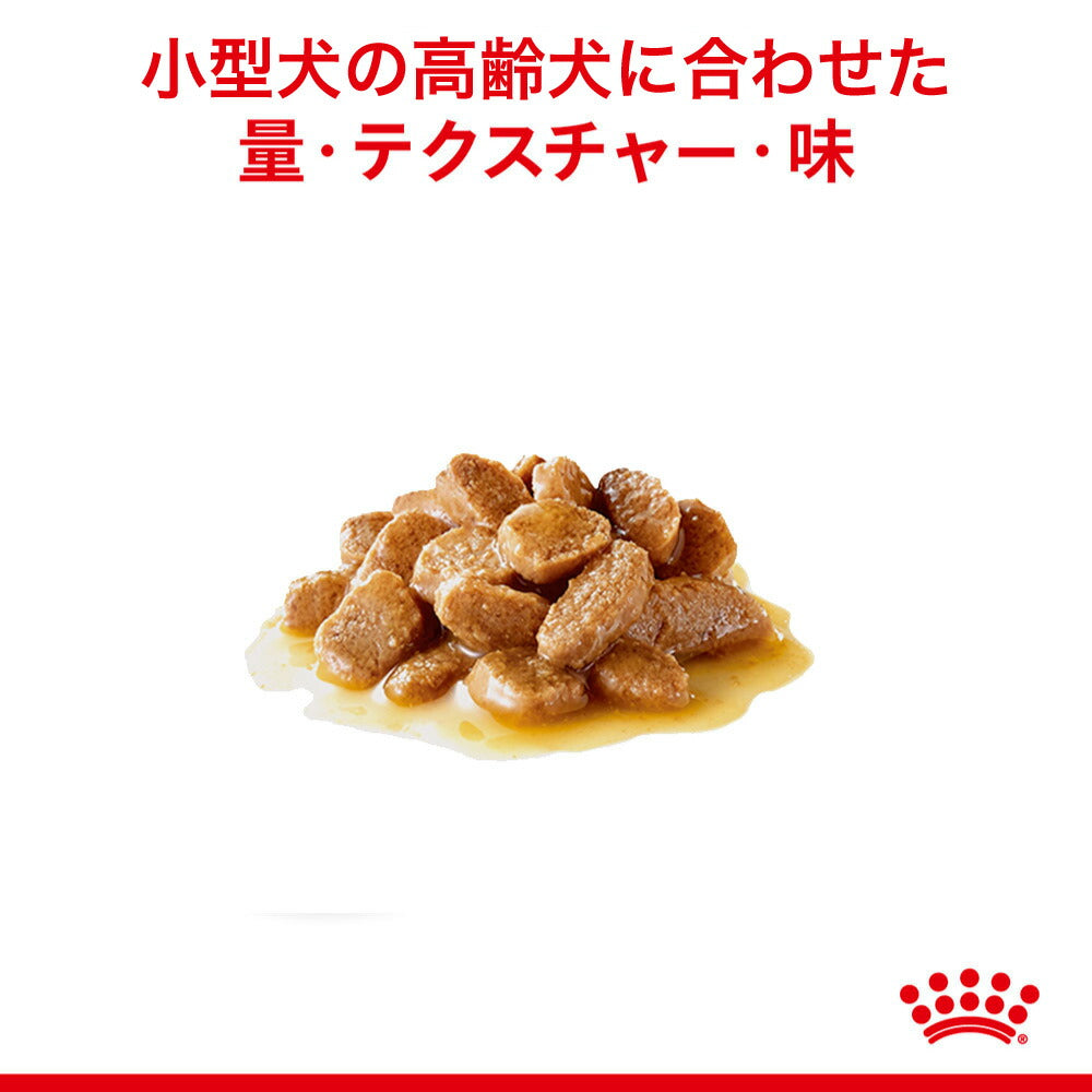 【85g×12袋】ロイヤルカナン SHN-WET ミニエイジング 12+ 小型犬 高齢犬用 12歳以上 パウチ (犬・ドッグ)[正規品]