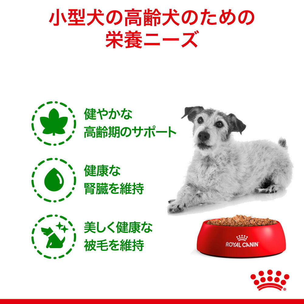【85g×12袋】ロイヤルカナン SHN-WET ミニエイジング 12+ 小型犬 高齢犬用 12歳以上 パウチ (犬・ドッグ)[正規品]