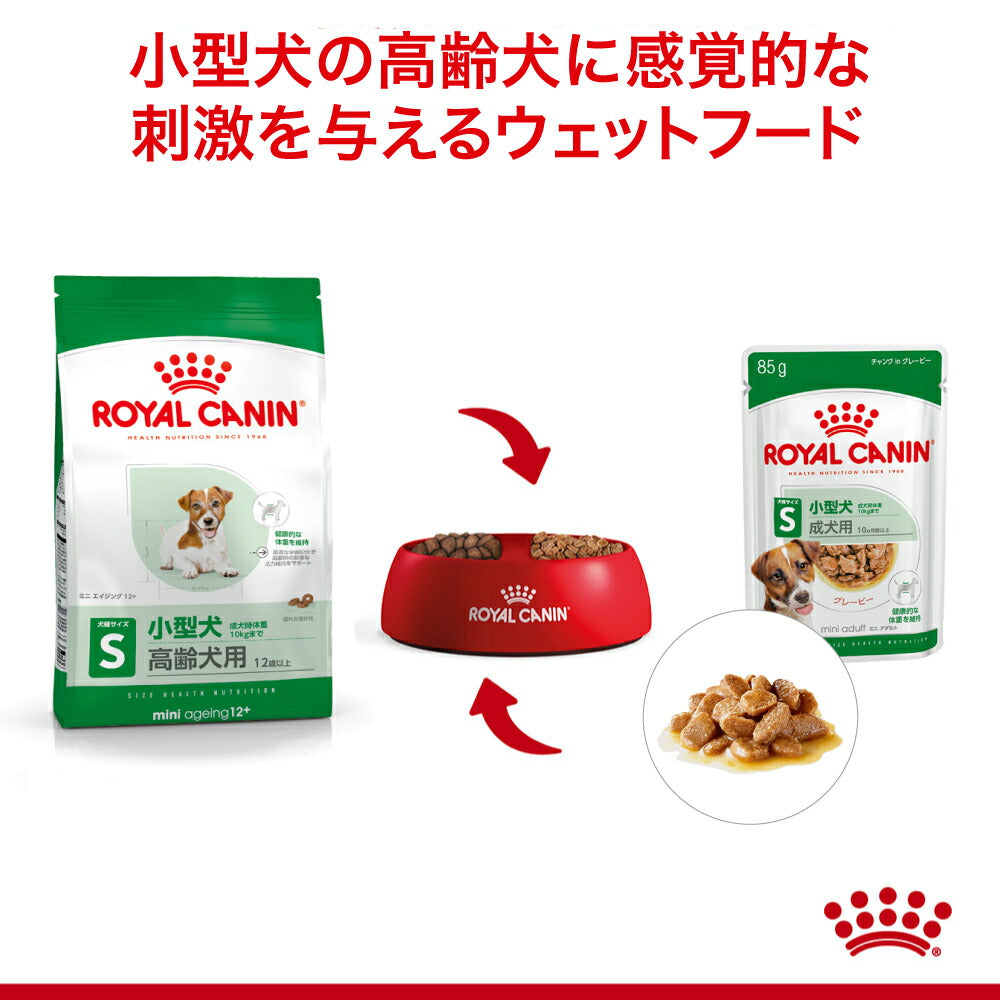 【85g×48袋】ロイヤルカナン SHN-WET ミニエイジング 12+ 小型犬 高齢犬用 12歳以上 パウチ (犬・ドッグ)[正規品]