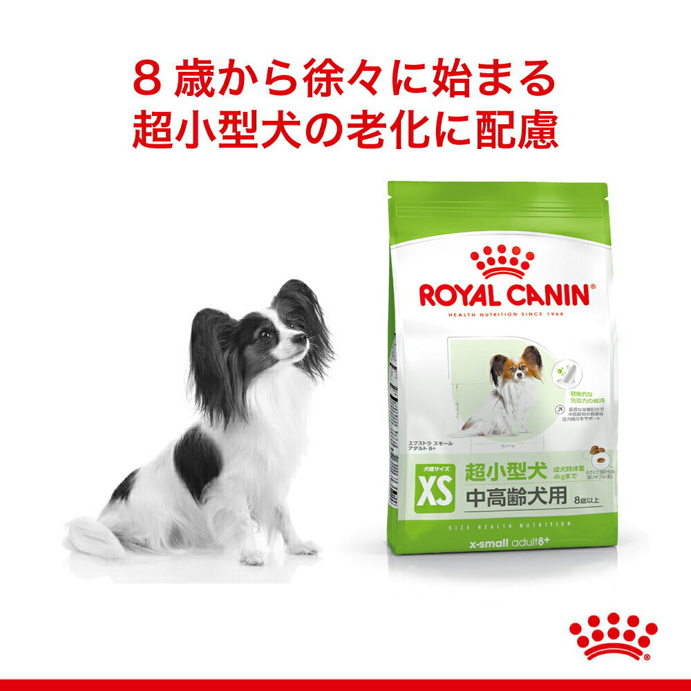 ロイヤルカナン SHN エクストラ スモール アダルト 8+ 超小型犬 中・高齢犬用 8歳以上 1.5kg (犬・ドッグ)[正規品]
