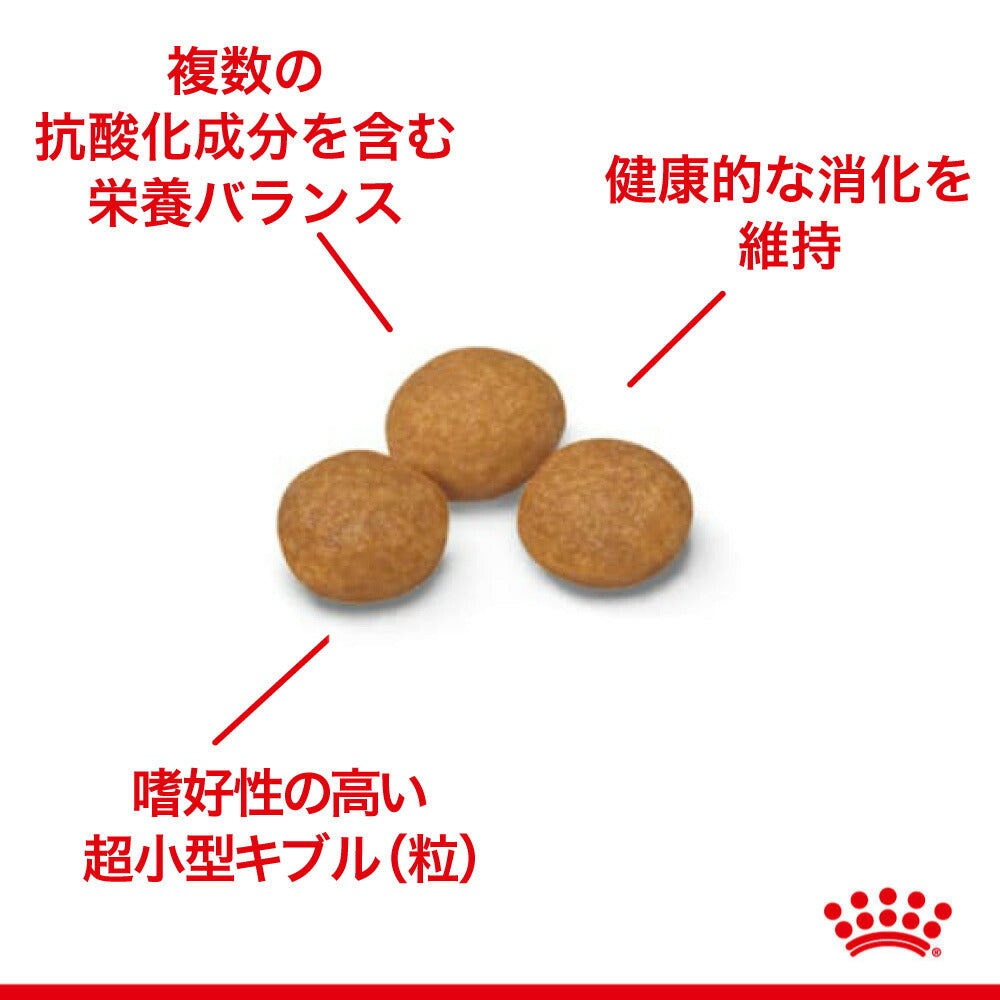 ロイヤルカナン SHN エクストラ スモール アダルト 8+ 超小型犬 中・高齢犬用 8歳以上 500g (犬・ドッグ)[正規品]