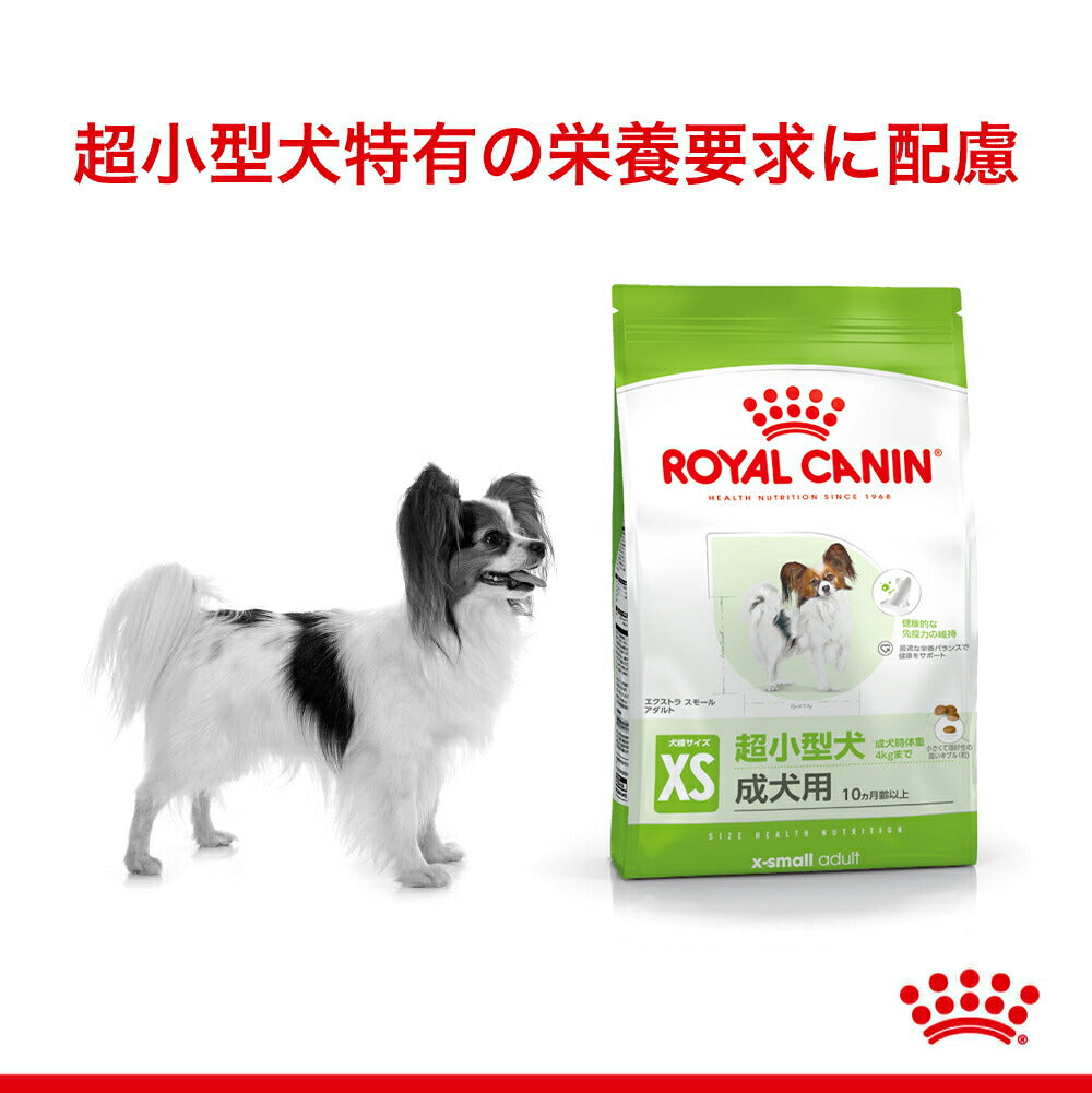 【800g×10袋】ロイヤルカナン SHN エクストラ スモール アダルト 超小型犬 成犬用 生後10ヵ月齢以上 (犬・ドッグ)[正規品]