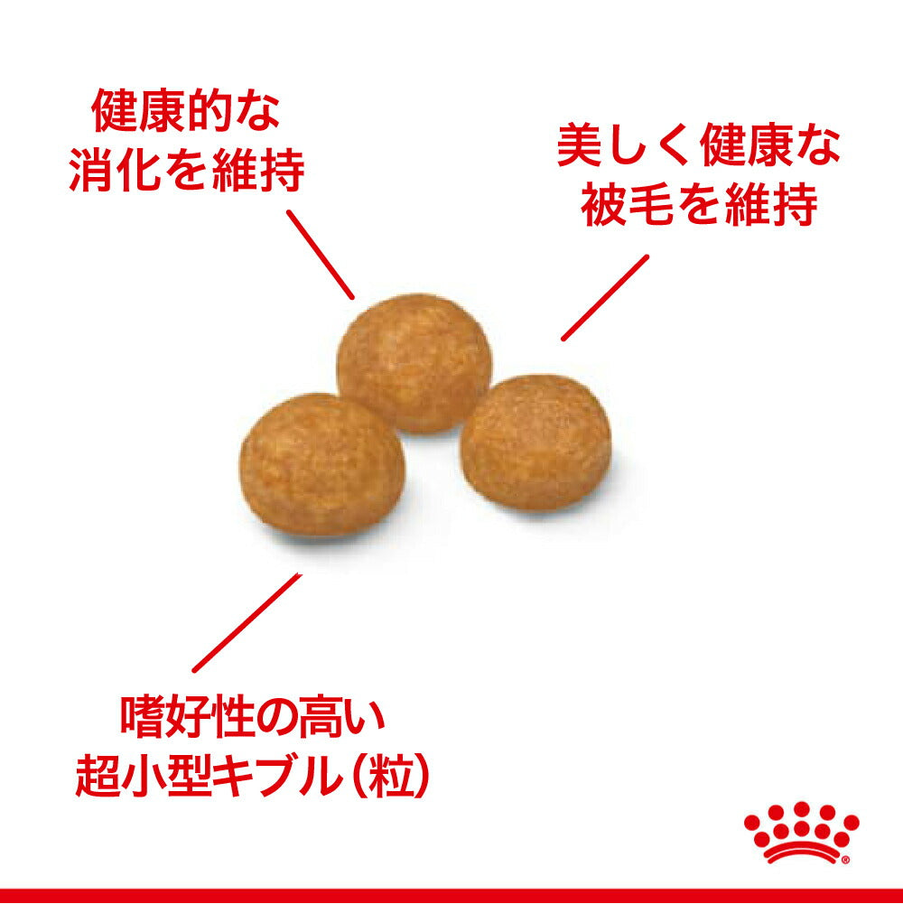 【1.5kg×4袋】ロイヤルカナン SHN エクストラ スモール アダルト 超小型犬 成犬用 生後10ヵ月齢以上 (犬・ドッグ)[正規品]