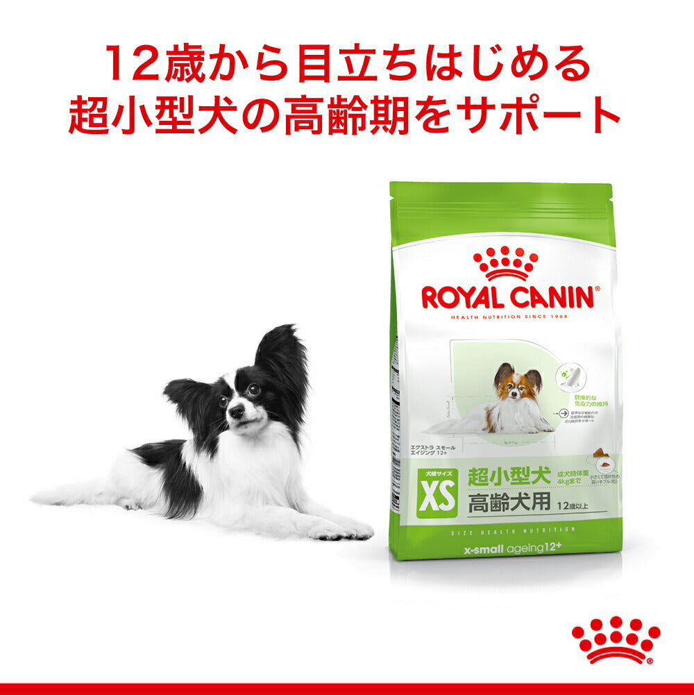 ロイヤルカナン SHN エクストラ スモール エイジング 12+ 超小型犬 高齢犬用 12歳以上 500g (犬・ドッグ)[正規品]