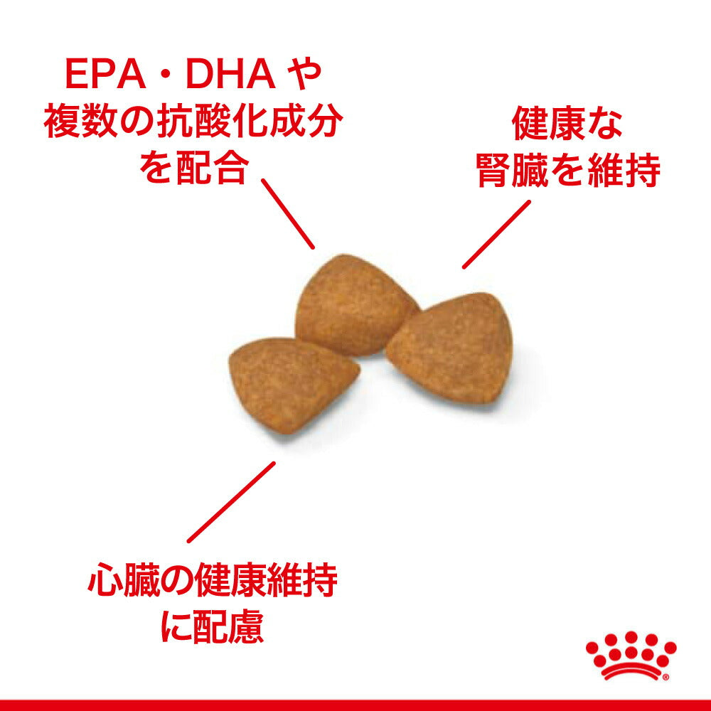 【1.5kg×2袋】ロイヤルカナン SHN エクストラ スモール エイジング 12+ 超小型犬 高齢犬用 12歳以上 (犬・ドッグ)[正規品]